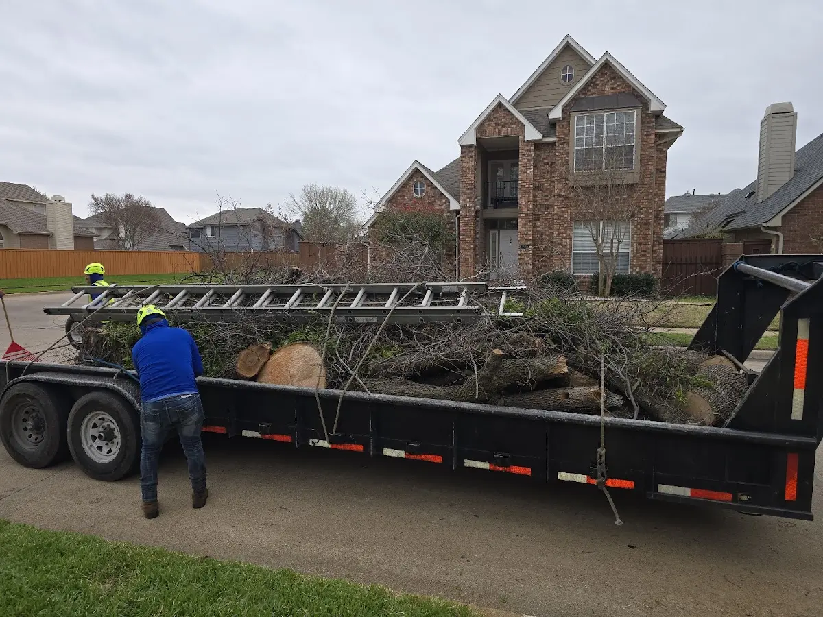 Expert Tree Pest Control with proper safety equipment in Cooperstown